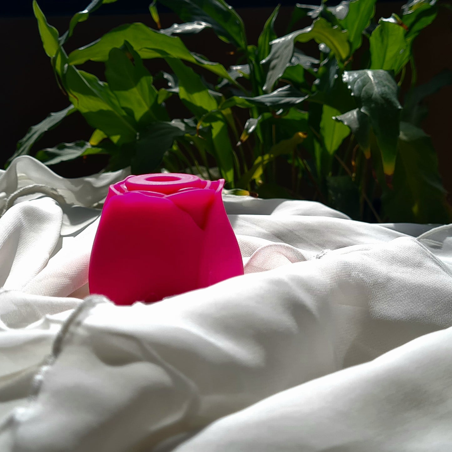 Colección Cherry Bomb - Full Set